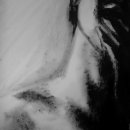 Study of Thomas India ink on paper 65 x 50 cm Study of Thomas India ink on paper 65 x 50 cm