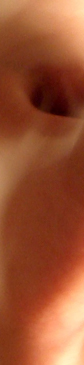 stripe_photos.jpg